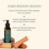 Leaf Monk Face Cleanser with White Turmeric, Gotu Kula & Aloevera